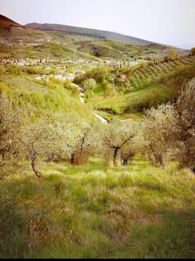Umbria In Bike B&B Foligno Luaran gambar